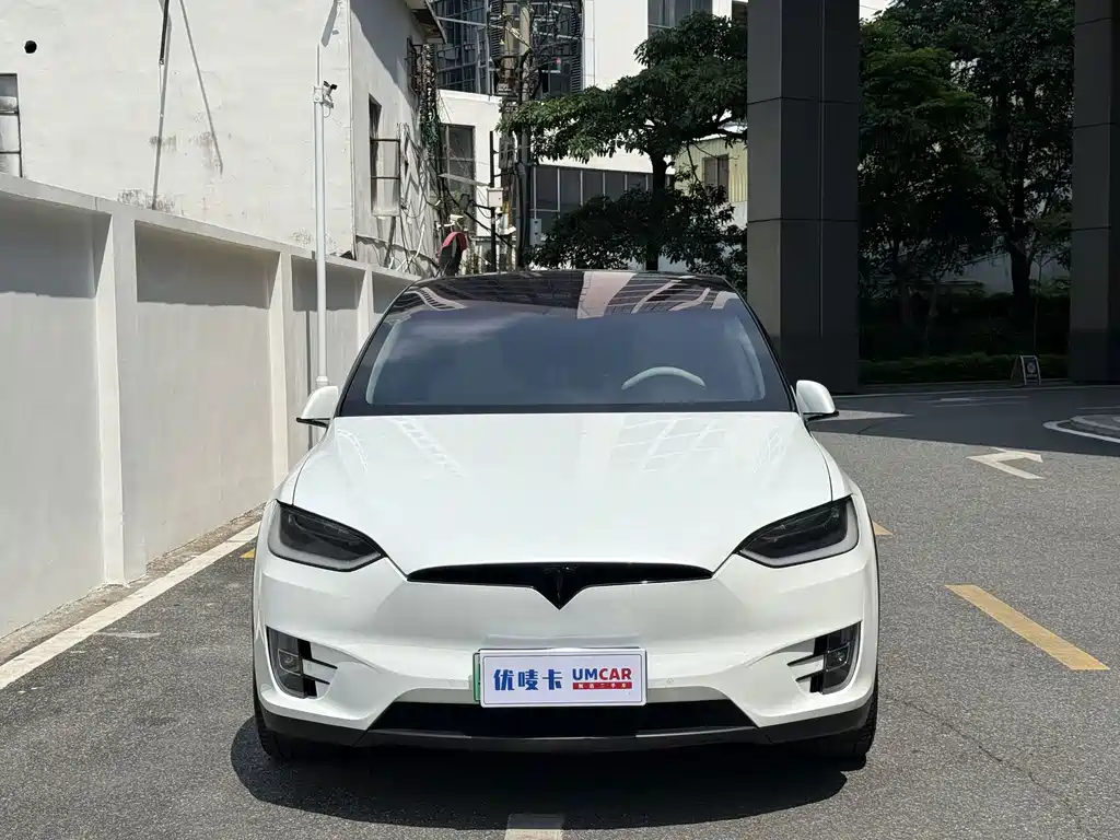 Tesla Model X — миниатюра 2