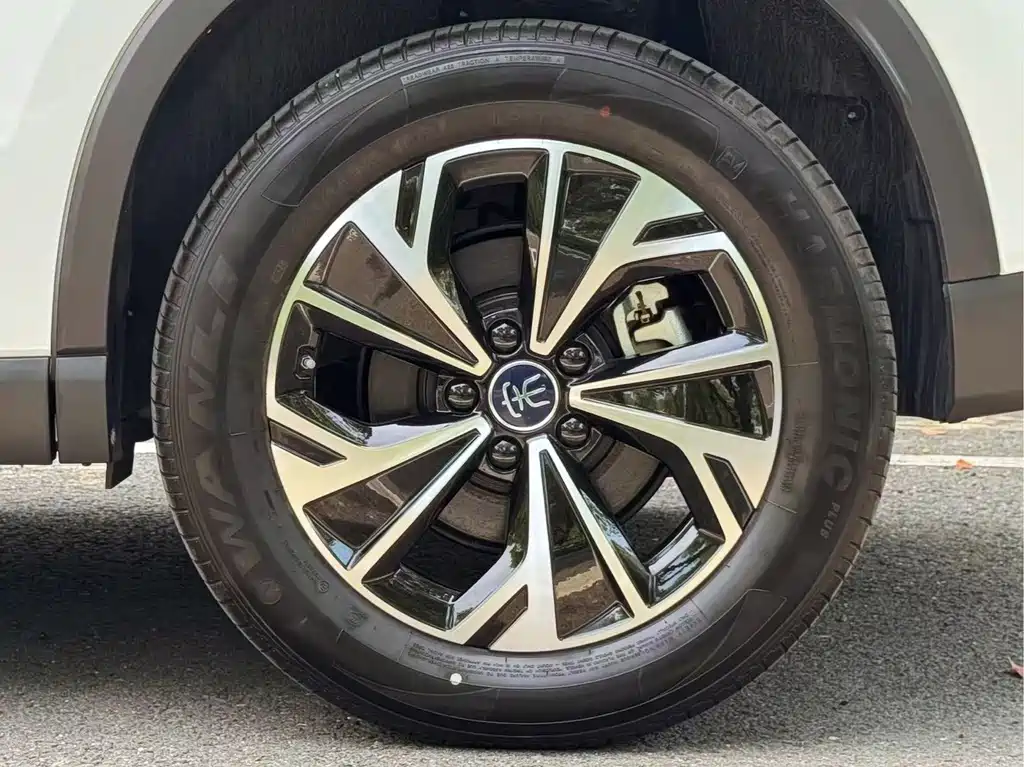 BYD Pro New Energy — миниатюра 9