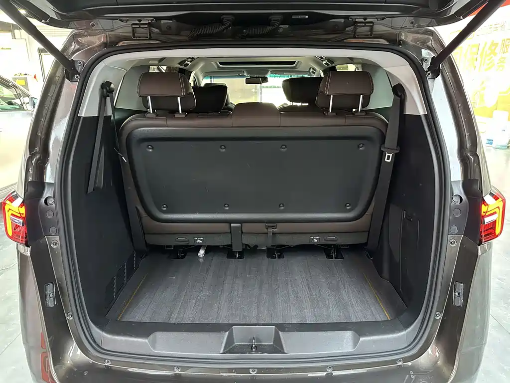 Buick GL8 — миниатюра 13