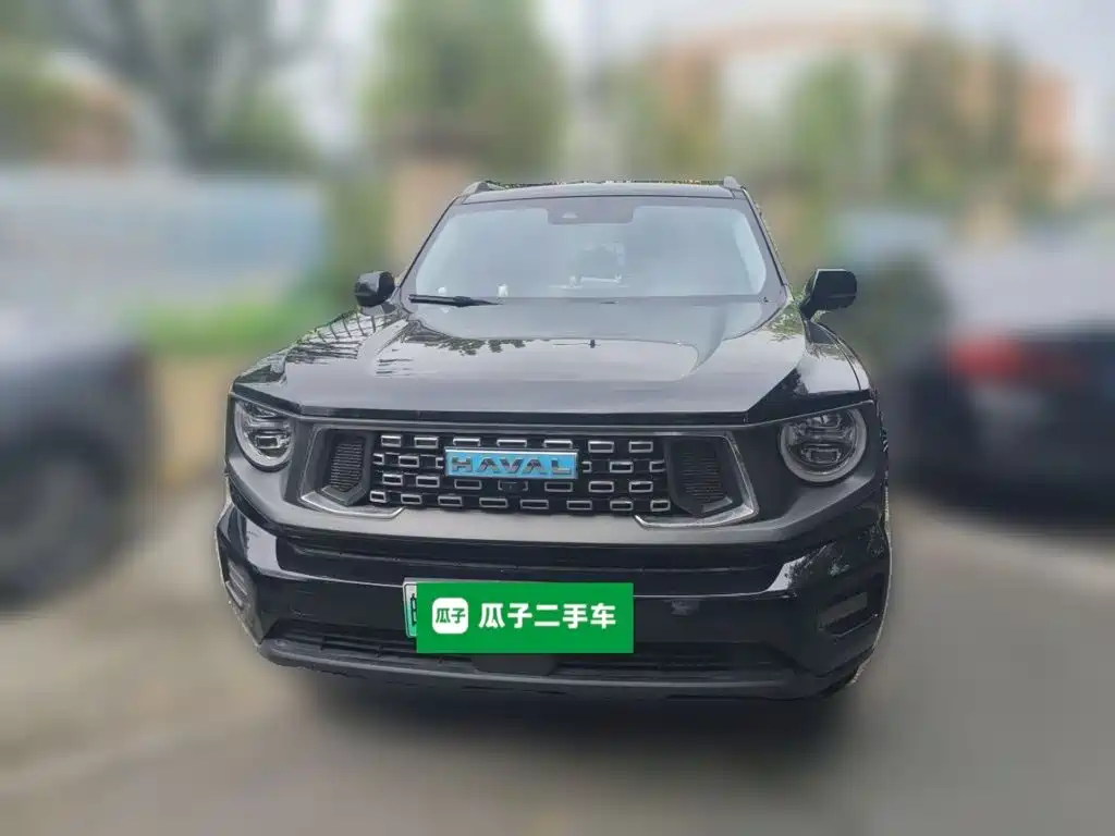 Haval Big Dog PLUS New Energy — миниатюра 3