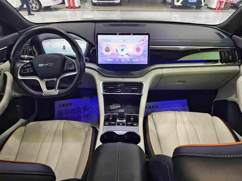 BYD PLUS New Energy — миниатюра 10