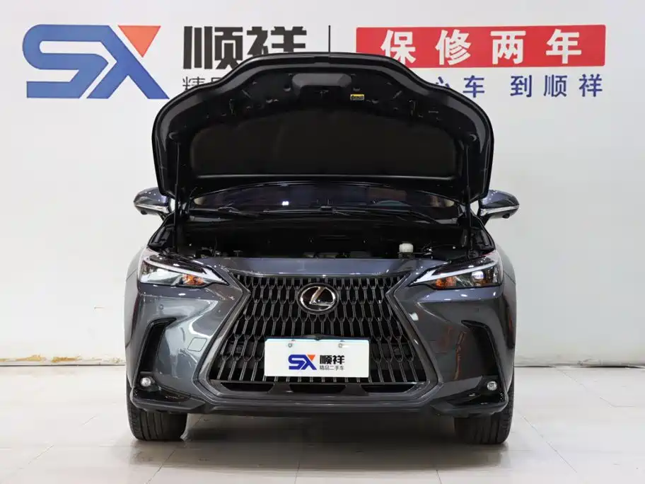 Lexus NX — миниатюра 19
