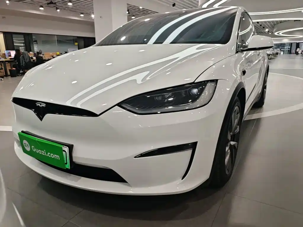 Tesla Model X — миниатюра 3