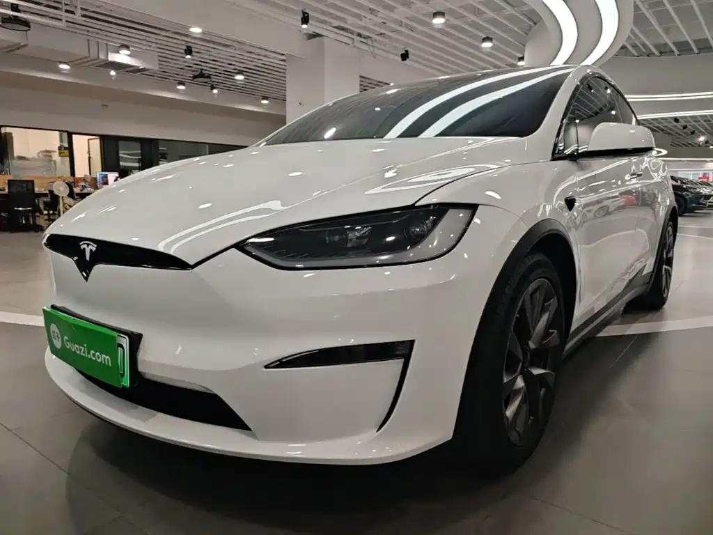 Tesla Model X — миниатюра 2