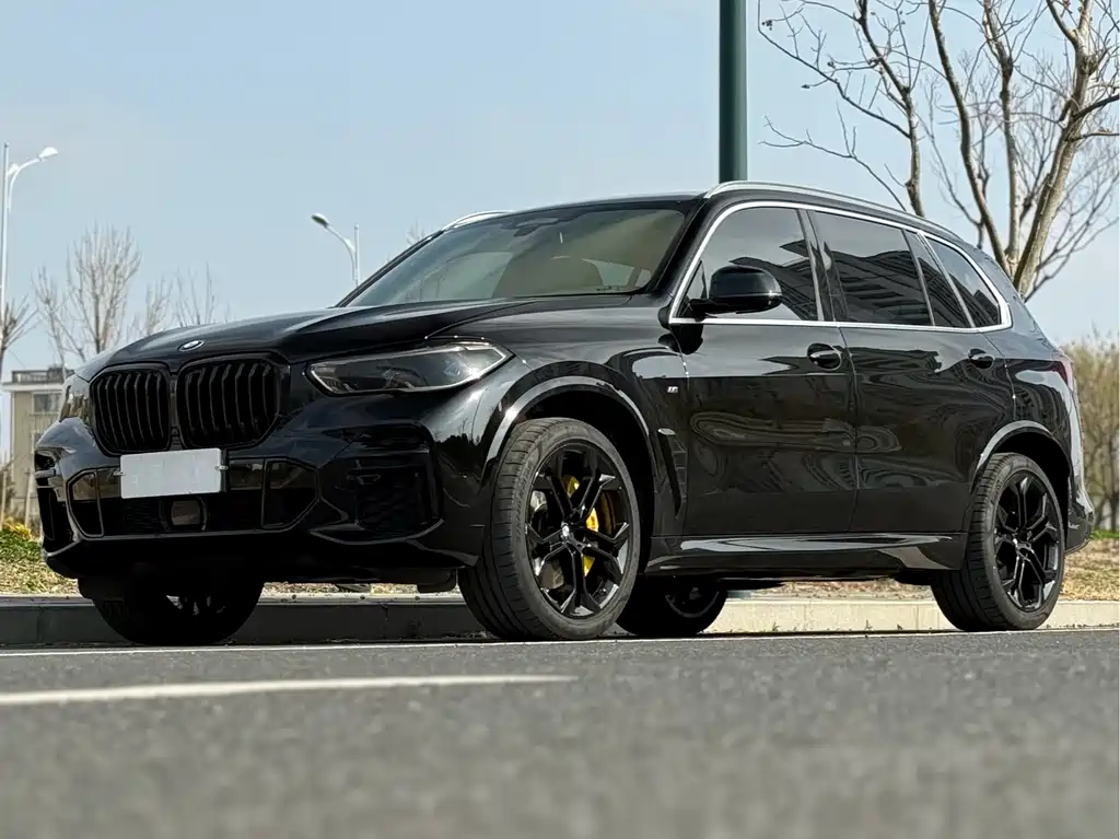 BMW X5 2022 xDrive 40Li Premium M Sport