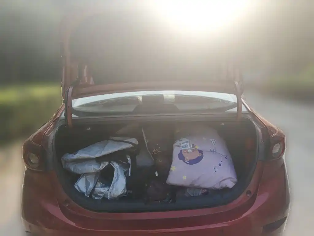 Mazda 3 Axela — миниатюра 9
