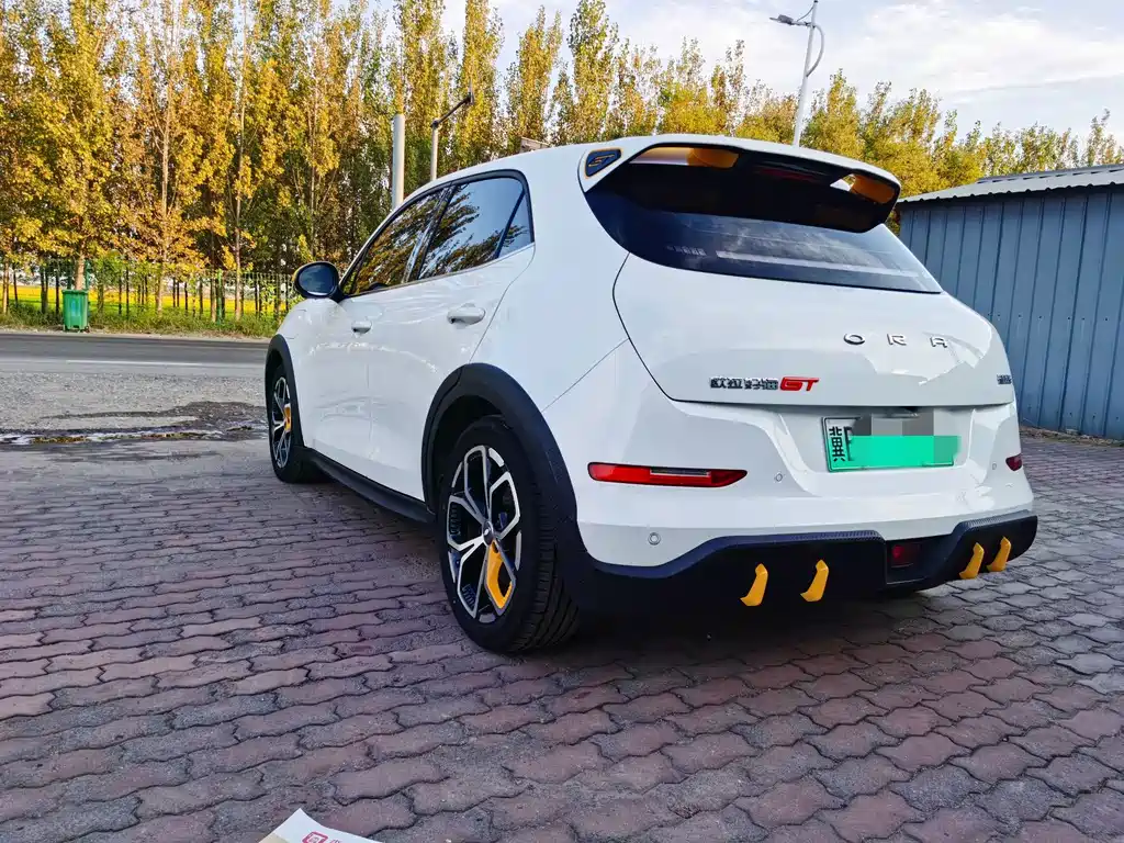 Ora Ora Good Cat GT — миниатюра 22