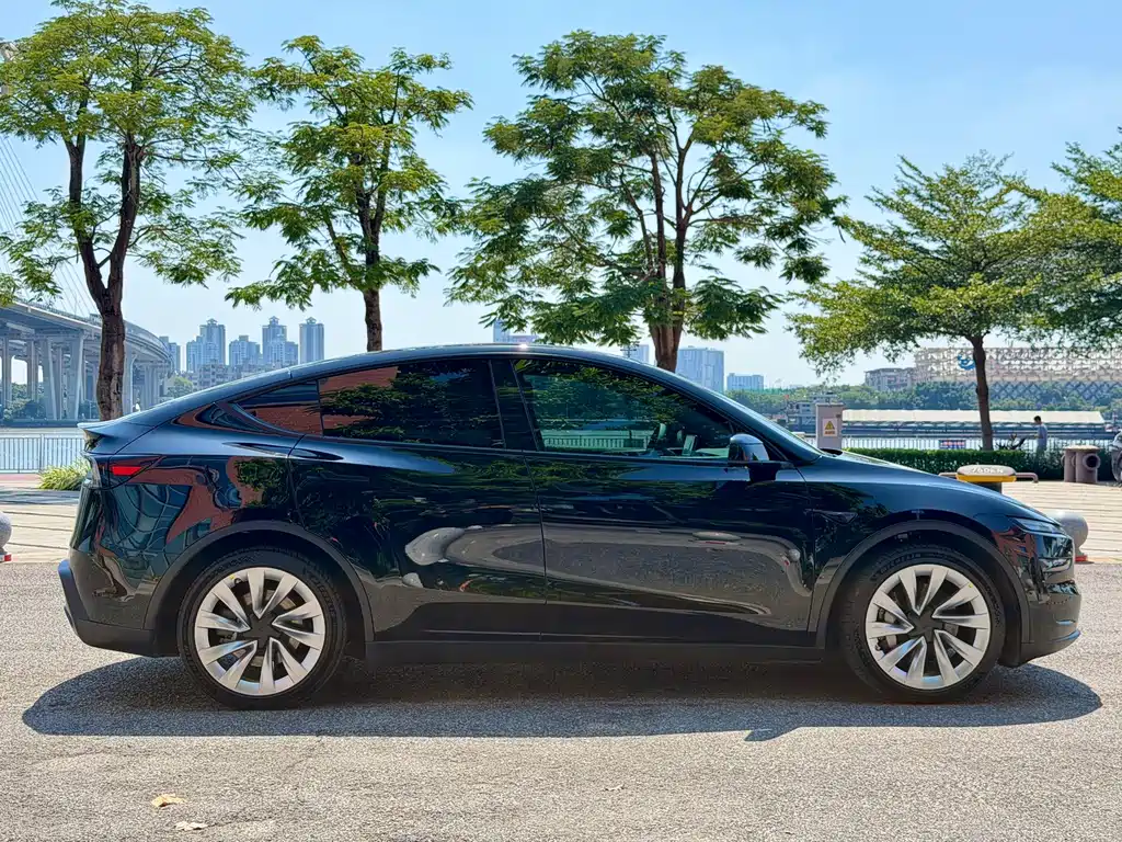 Tesla Model Y — миниатюра 6