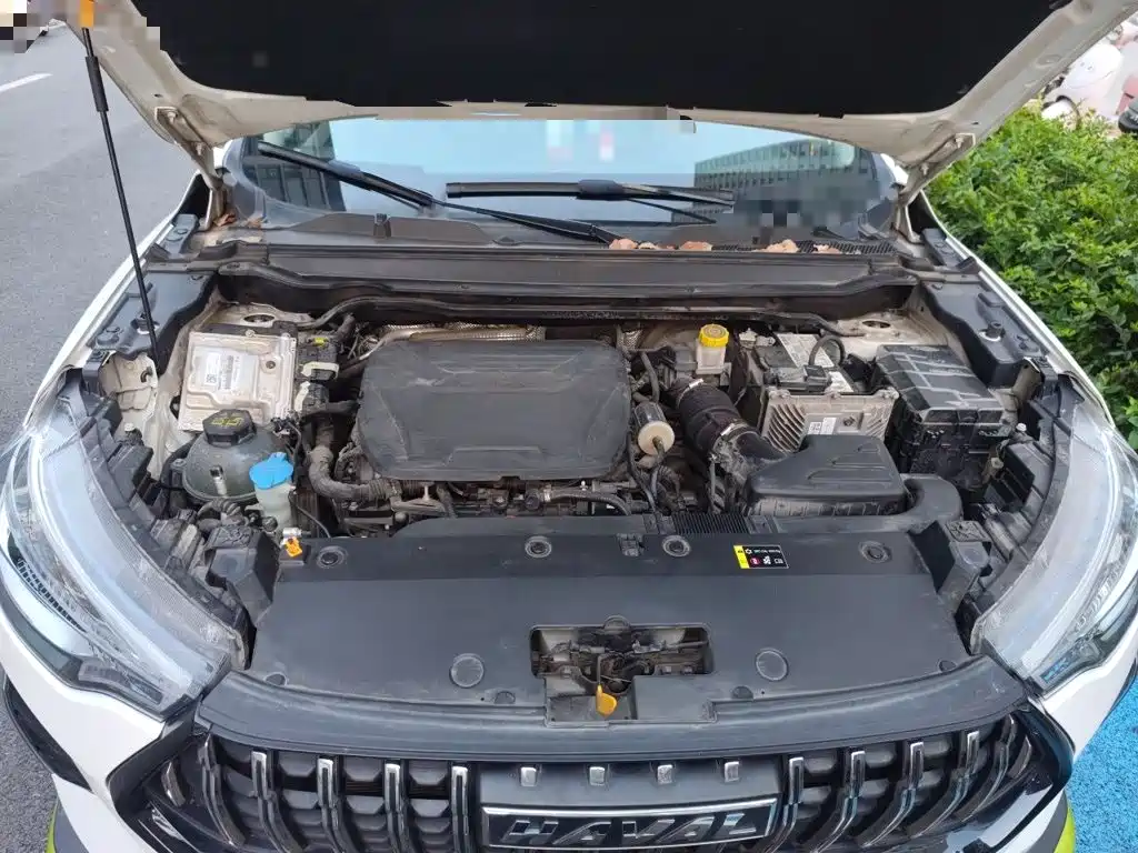 Haval Chitu — миниатюра 21