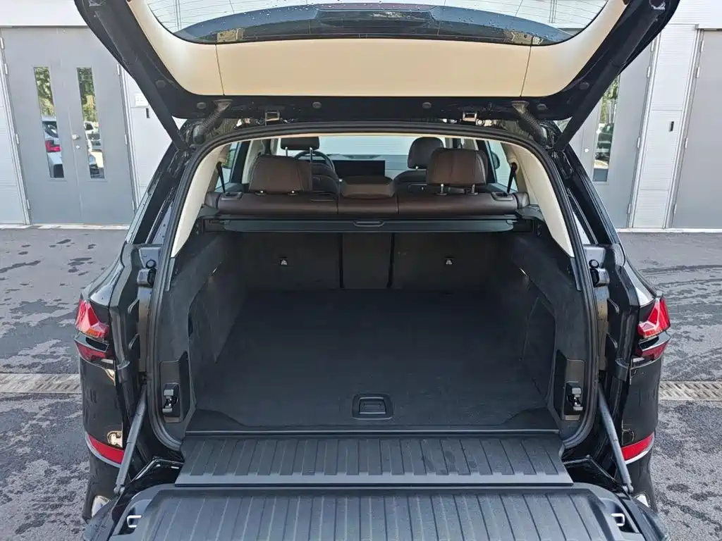 BMW X5 — миниатюра 7