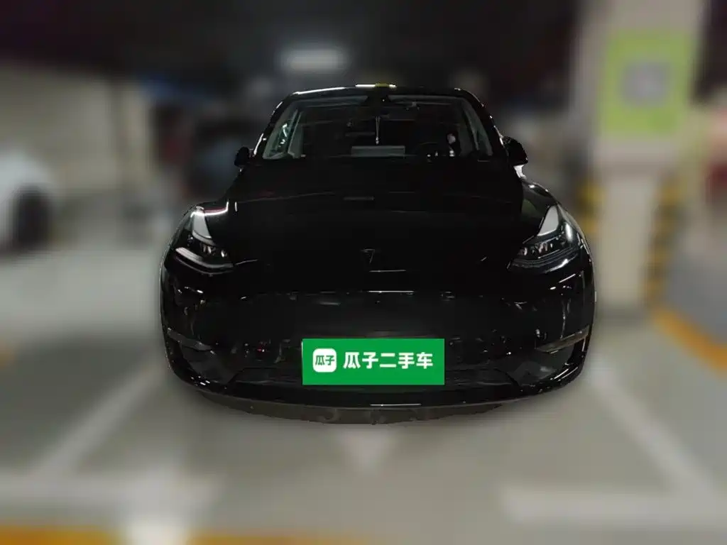 Tesla Model Y — миниатюра 2