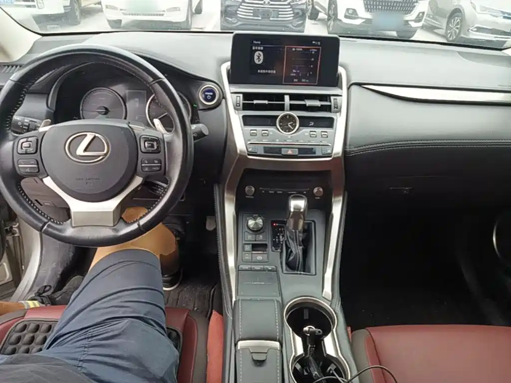 Lexus NX — миниатюра 10