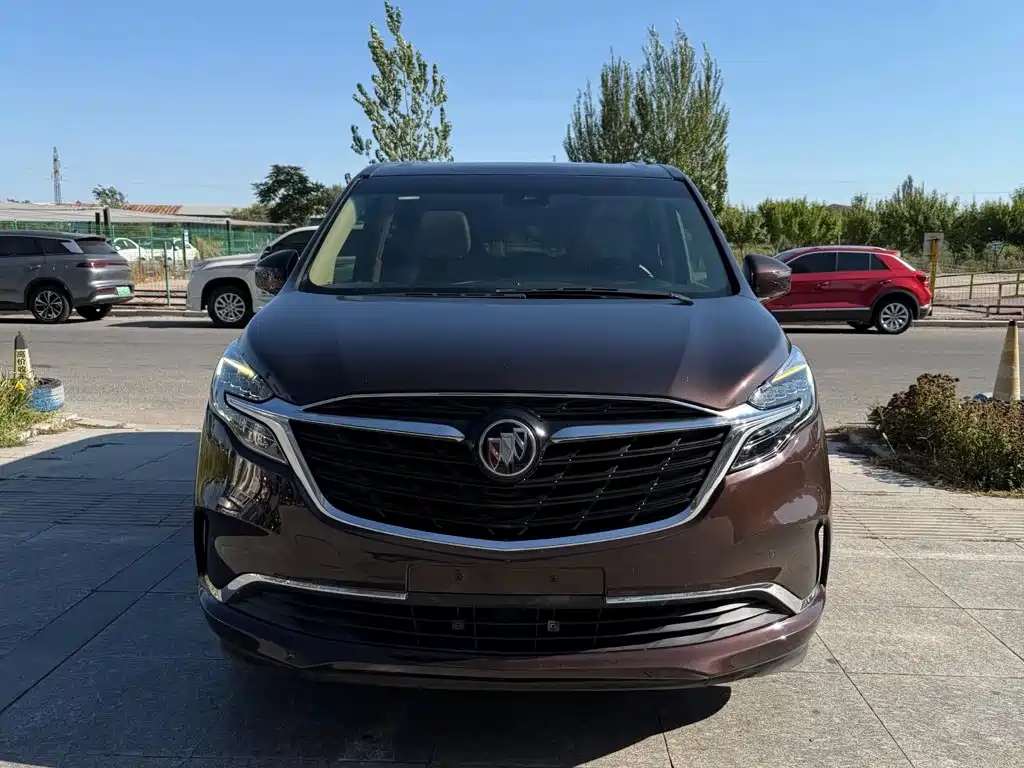Buick GL8 — миниатюра 8