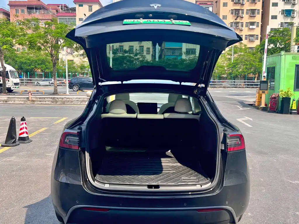 Tesla Model Y — миниатюра 10