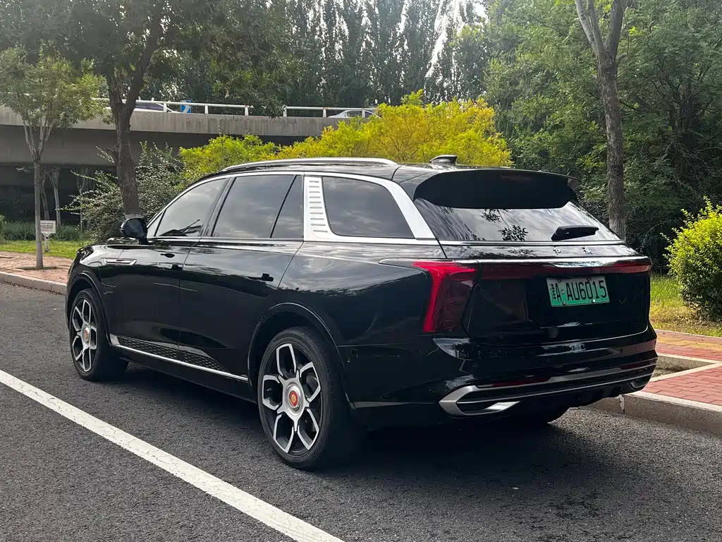 Hongqi Hongqi E-HS9 — миниатюра 15