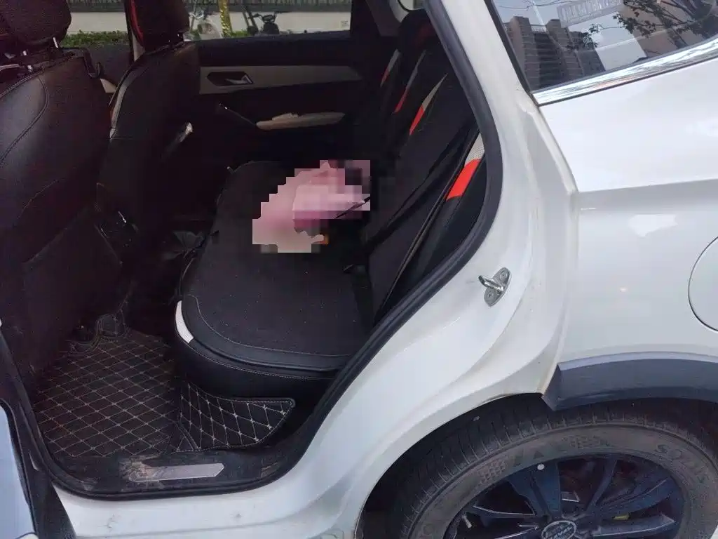 Haval Chitu — миниатюра 18