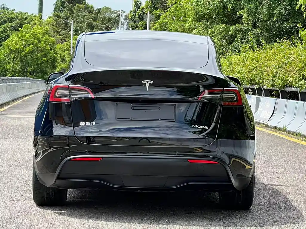 Tesla Model Y — миниатюра 17
