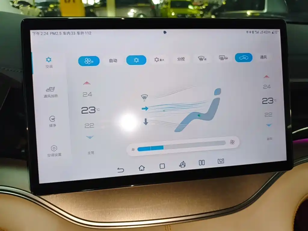 BYD PLUS New Energy — миниатюра 13