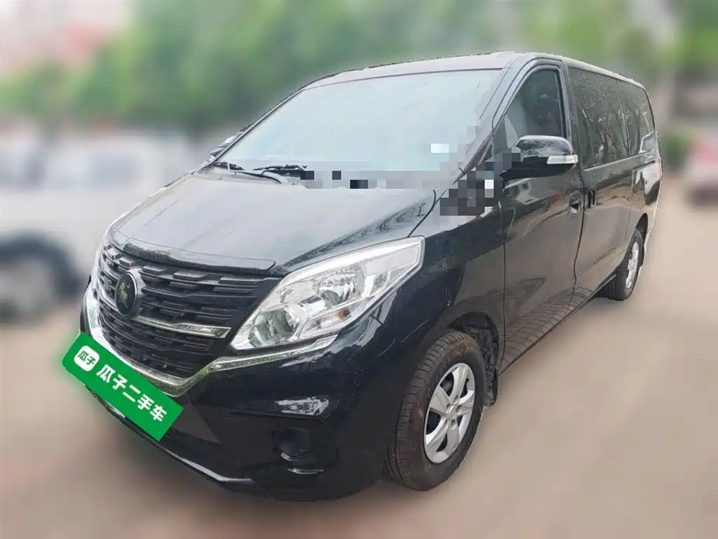 Fengxing Lingzhi PLUS 2025