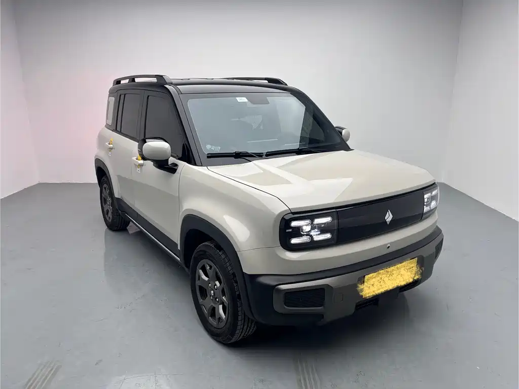 BAOJUN YUE ALSO PLUS