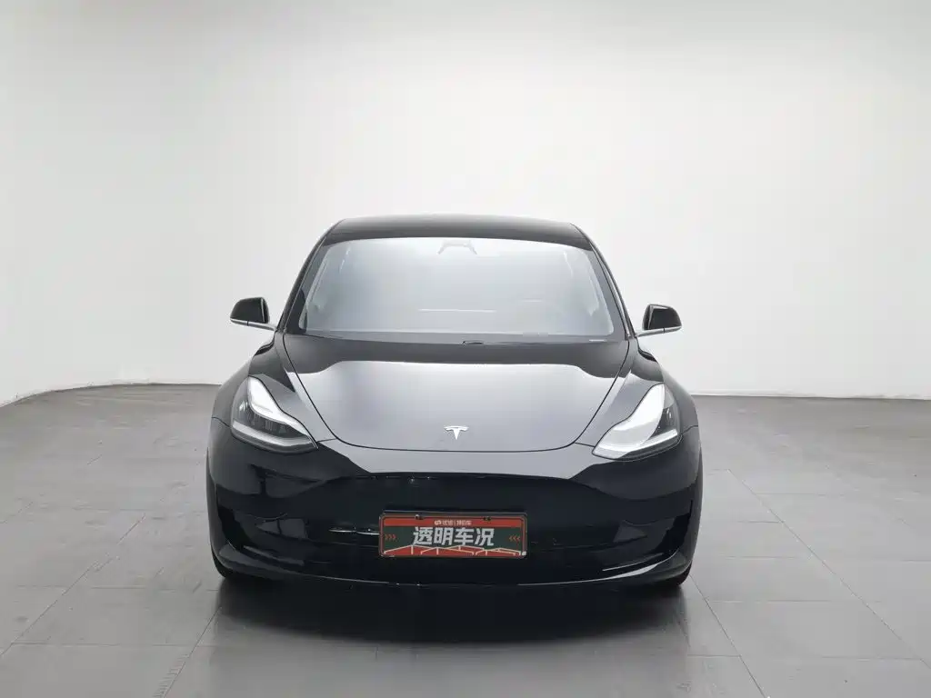Tesla Model 3 — миниатюра 3