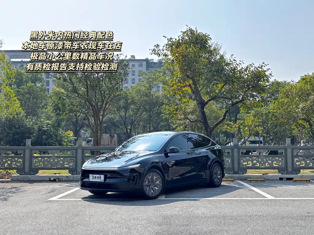 Tesla Model Y L