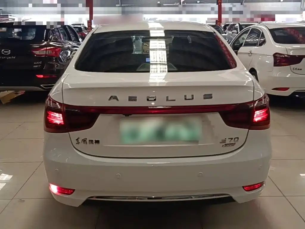 Aeolus E70 — миниатюра 6