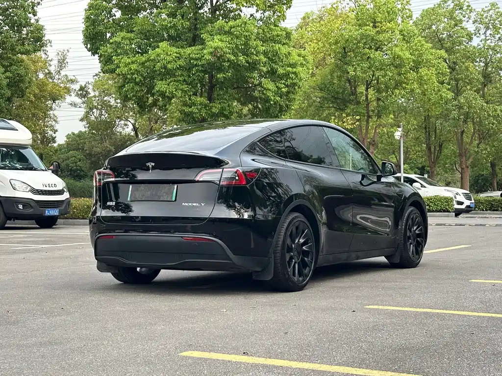 Tesla Model Y — миниатюра 4