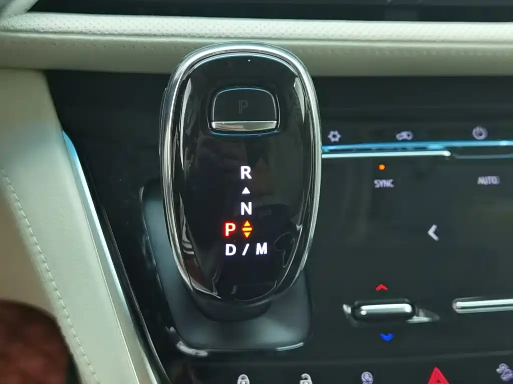 Buick GL8 — миниатюра 13