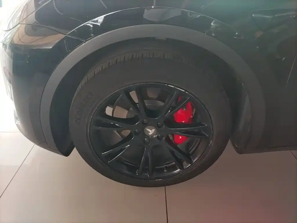 Tesla Model Y — миниатюра 23