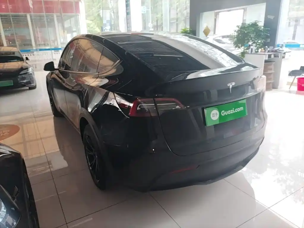Tesla Model Y — миниатюра 5
