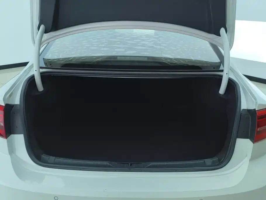 Volkswagen Lamando — миниатюра 4