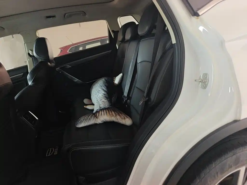 Geely Boyue — миниатюра 18