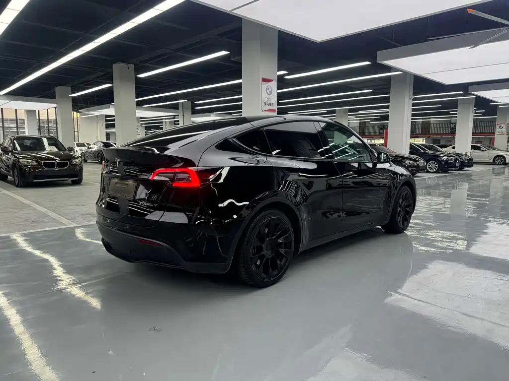 Tesla Model Y — миниатюра 14