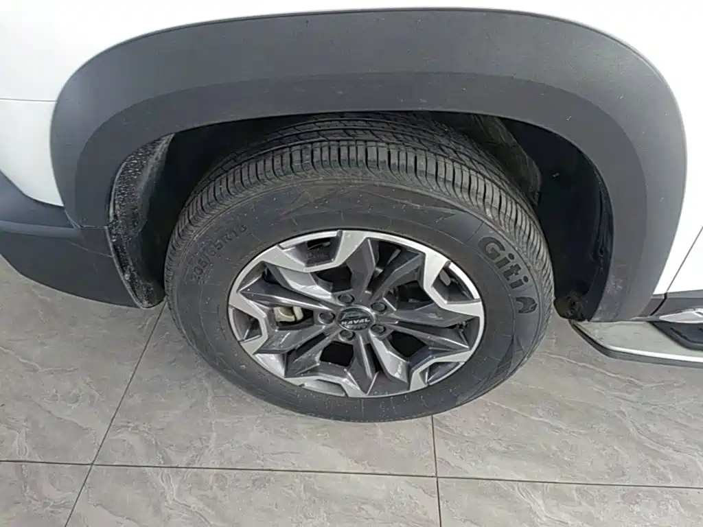 Haval Big Dog — миниатюра 23