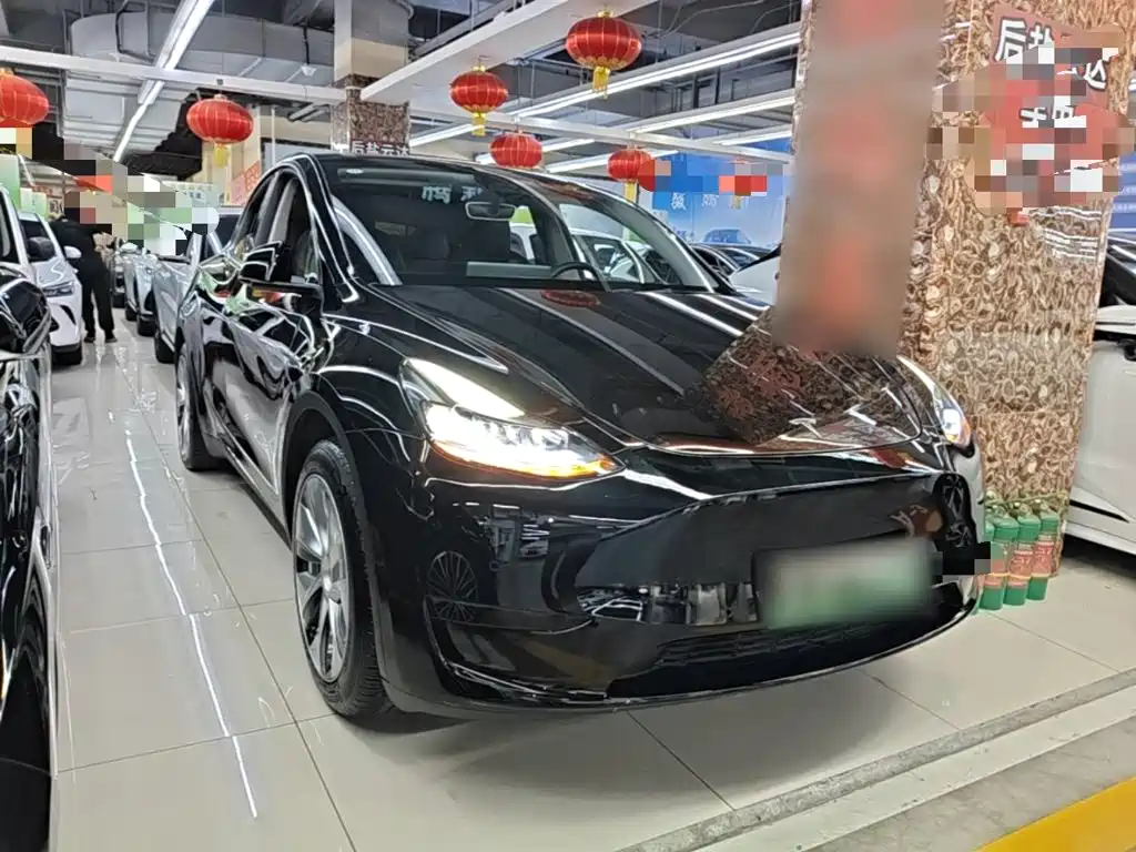 Tesla Model Y — миниатюра 4