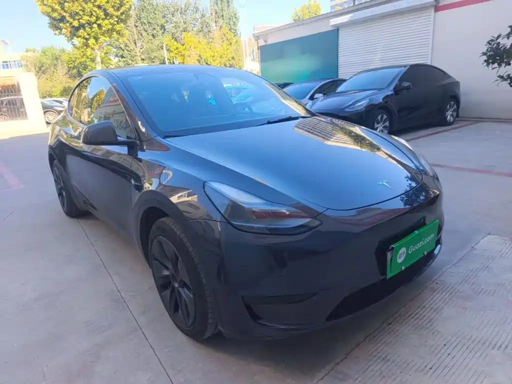Tesla Model Y — миниатюра 4