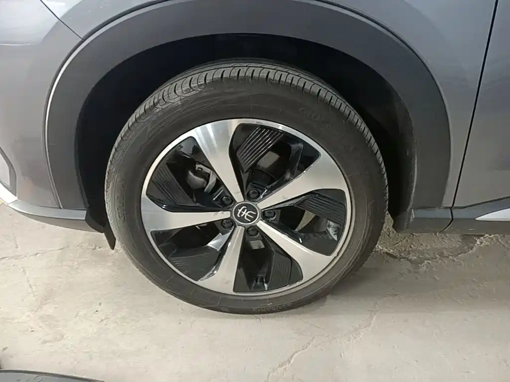 BYD PLUS New Energy — миниатюра 23