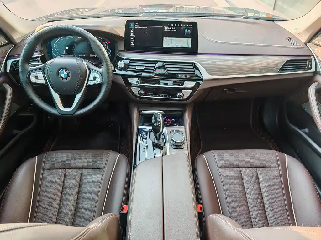 BMW 5 SERIES NEW ENERGY