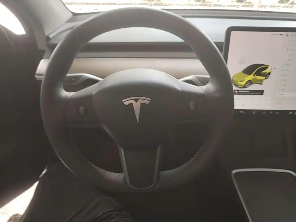 Tesla Model Y — миниатюра 11