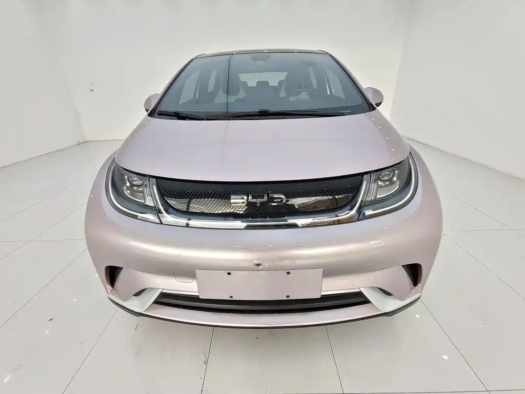 BYD Dolphin — миниатюра 2