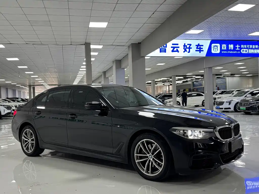 BMW 5 Series — миниатюра 2