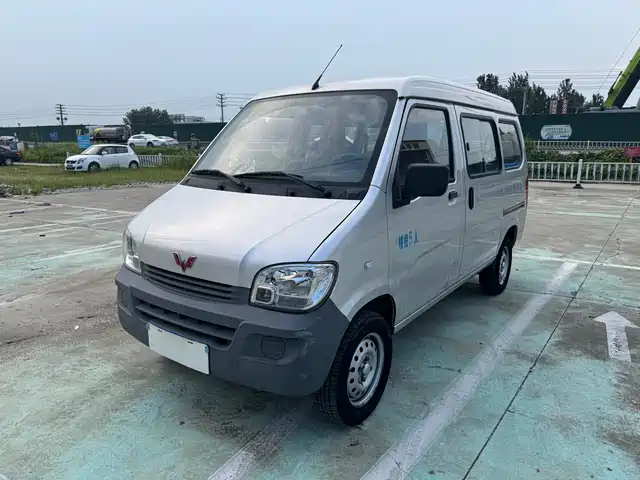 2021 Wuling Motors Sunshine