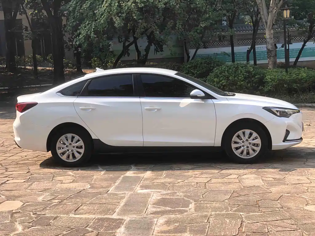 CHANGAN YIDONG NEW ENERGY