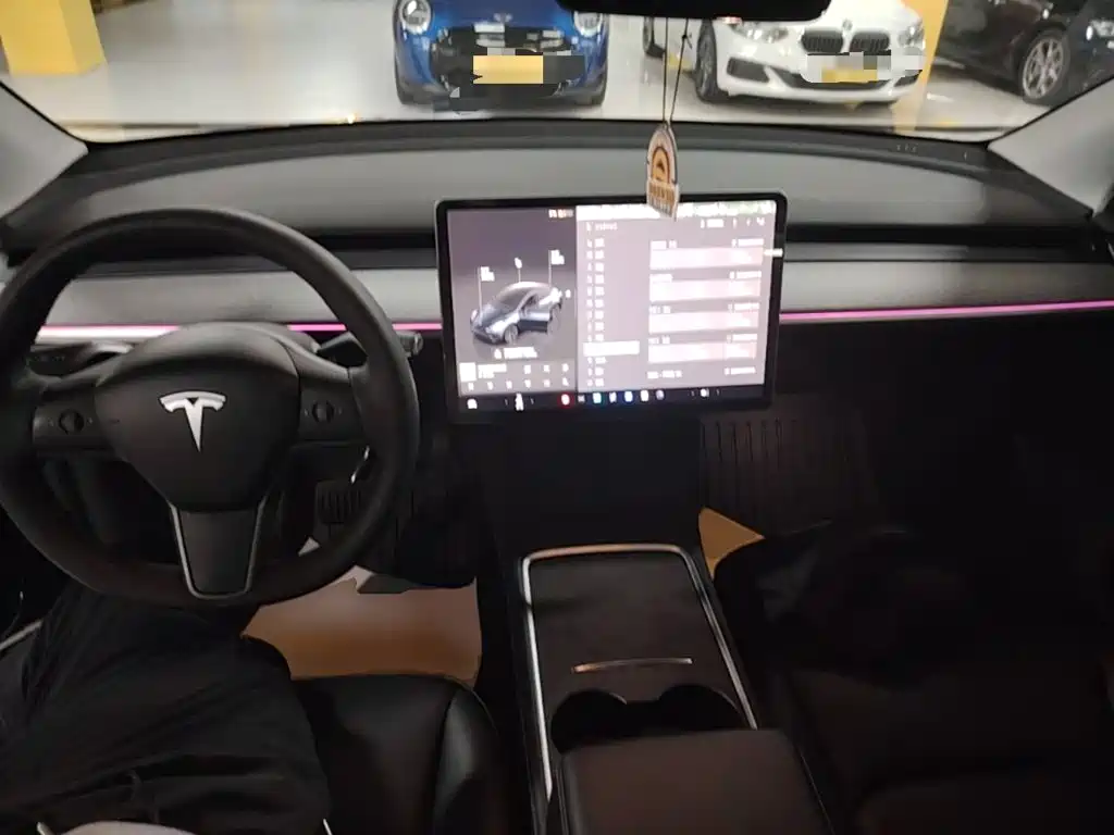 Tesla Model Y — миниатюра 10