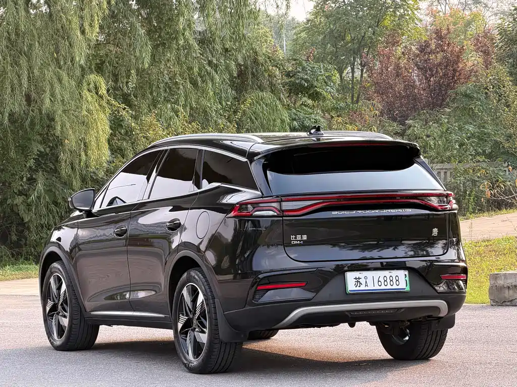 BYD Tang New Energy — миниатюра 5