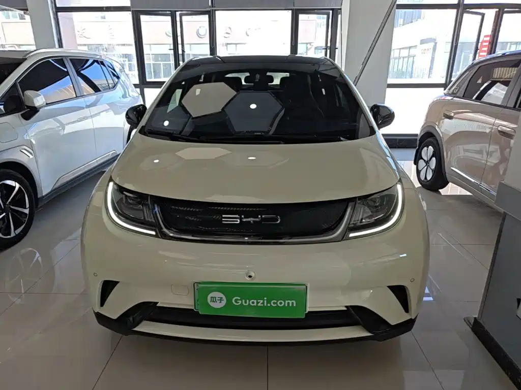BYD Dolphin — миниатюра 3
