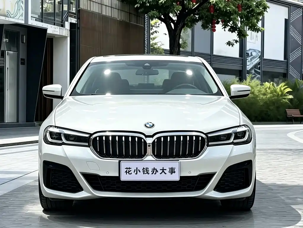 BMW 5 Series — миниатюра 2