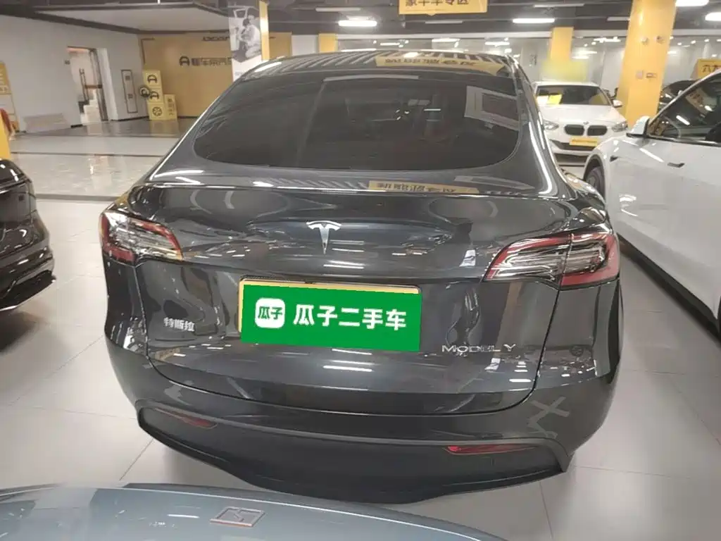 Tesla Model Y — миниатюра 6