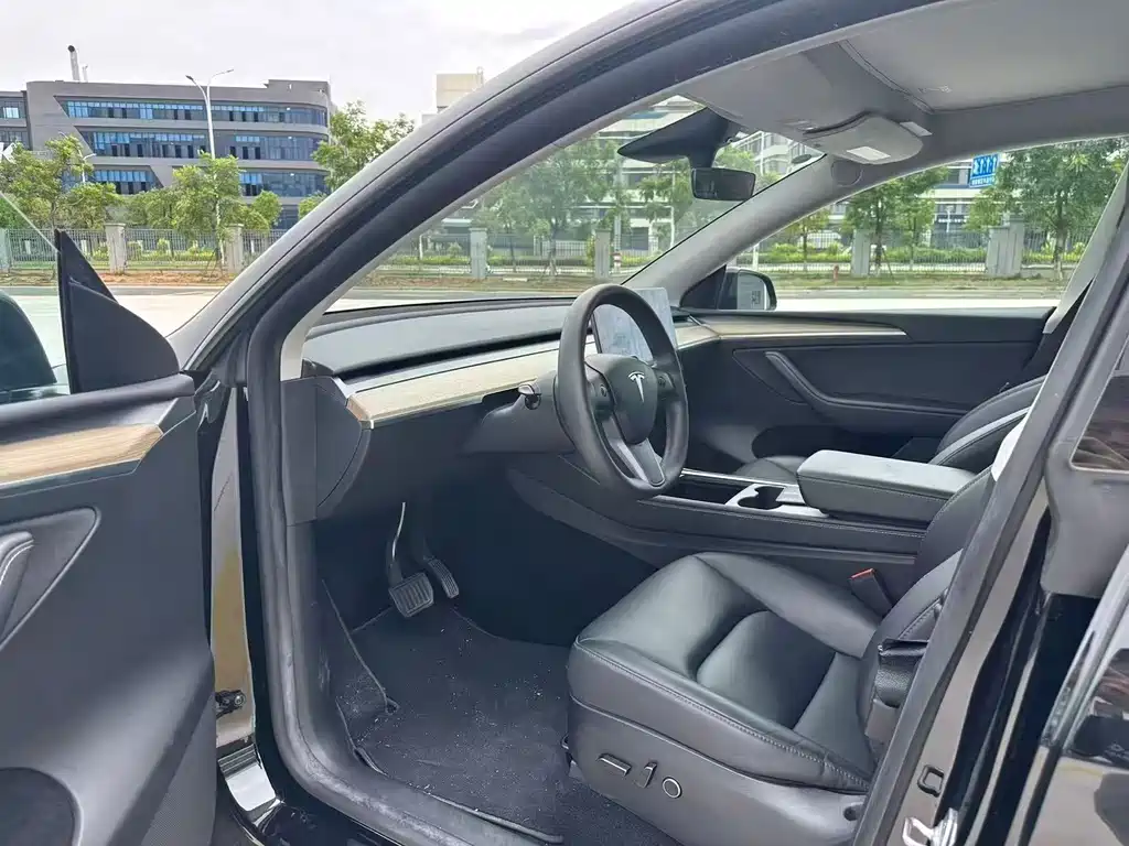 Tesla Model Y — миниатюра 4